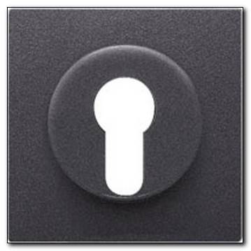 Płytka centralna mechanizmu zamka