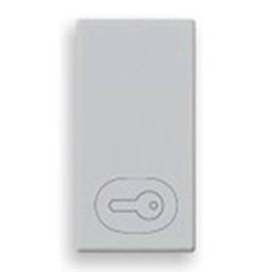 Klawisz, symbol - klucz, 1M, srebrny