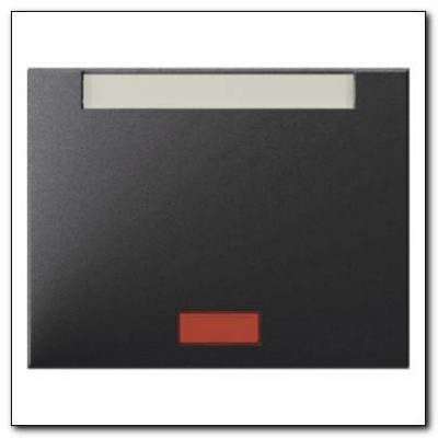 Klawisz z 5 dołączonymi soczewkami i polem opisowym; antracyt mat, lakierowany; K.1 Numer katalogowy: 14157106