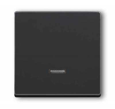 Pokrywa ściemniacza