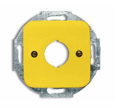 Pokrywa z pierścieniem nośnym