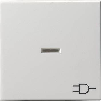 Klawisz kontrolny symbol gniazda System 55 biały