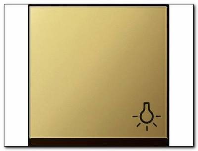 Klawisz kontrolny symbol światła System 55 mosiądz