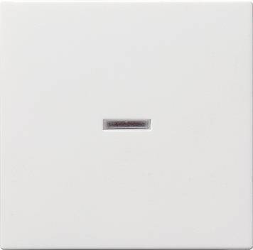 Klawisz okienko kontr. System 55 biały matowy