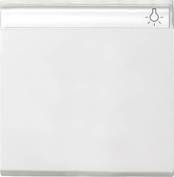 Klawisz z polem opisowym System 55 biały matowy