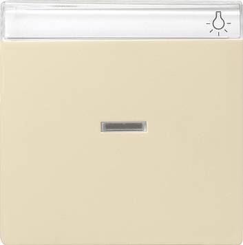 Klawisz kontrolny z polem opisowym System 55 kremowy