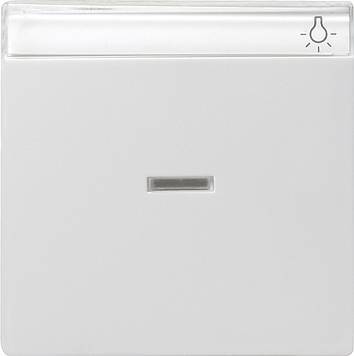 Klawisz kontrolny z polem opisowym System 55 biały matowy