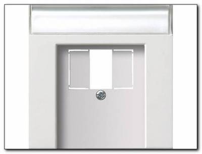 Osłona do UAE/IAE TAE+stereo+USB Gira F100 biały