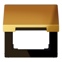 Ramka centralna z klapką, kolor złoty
