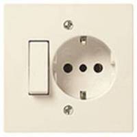 1P 10AX 1-way switch+P30 outlet ivory