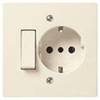 1P 10AX 2-way switch+P30 outlet ivory