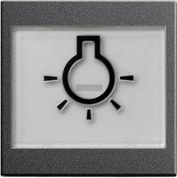Klawisz z piktogr. symbol światła System 55 antracytowy